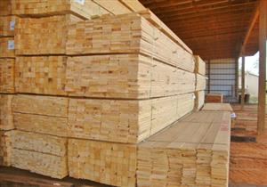 الضحية استضاف الجاني.. كشف غموض مقتل خفير داخل مخزن أخشاب بقليوب 