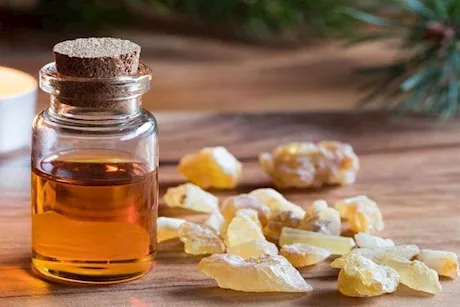 هل لبان الدكر يحمي من التجاعيد؟