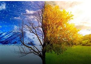 6 أطعمة نباتية مفيدة لتقوية المناعة ومحاربة العدوى