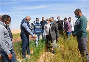 محافظ الوادي الجديد: تنفيذ مزرعة نخيل على 3 آلاف فدان كوقف للأيتام