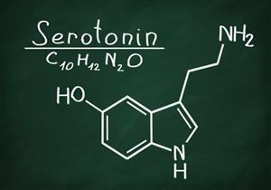 هرمون السعادة.. 4 أطعمة تحفز مخك على إفراز السيروتونين
