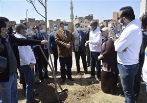 بالصور.. انطلاق فعاليات زراعة 1000 شجرة بأحياء محافظة أسيوط
