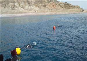 البيئة: انطلاق المرحلة الثانية لصيانة الشمندورات وتجهيز مواقع الغوص بمحميات جنوب سيناء