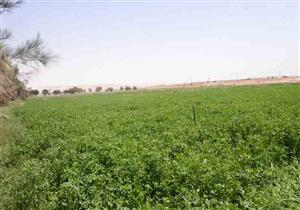 خبير بيئي: الدلتا ستتأثر بارتفاع المياه المالحة فوق العزبة نتيجة للتغيرات المناخية