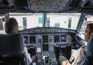 قطة تهاجم طائرة وتجبرها على الهبوط الاضطراري