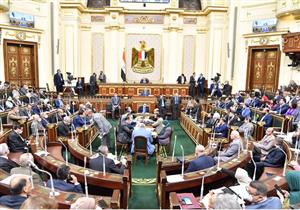 حفاظًا على مياه النيل.. "النواب" يرفض حذف عقوبة الحبس من مخالفات زراعة الأرز