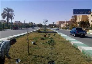 "الخارجة مثمرة".. قصة مبادرة واحاتية في الوادي الجديد - صور