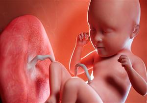 تعرفي على ما يفعله طفلك ويستمتع به وهو داخل بطنك