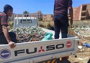 بالحرق والدفن.. إعدام 300 شيشة في الإسكندرية- صور