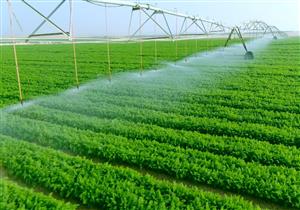 مشروع مستقبل مصر.. ننشر أبرز المعلومات بعد تفقد الرئيس السيسي للحصاد الزراعي- صور