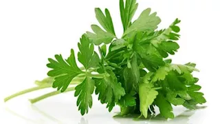  5 فوائد مذهلة للبقدونس على صحة جسمك