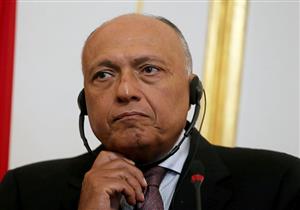 "إذا تضررنا فلا بديل إلا بحماية حقنا بالحياة".. كلمة سامح شكري بمجلس الأمن (نص كامل)