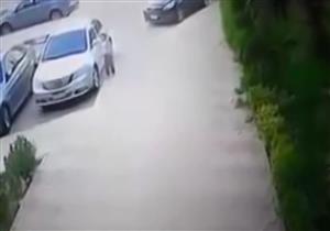 "5 دقايق بينهش في جسمها".. كلب ضال يهاجم طفلة أمام منزلها بالمستقبل |فيديو