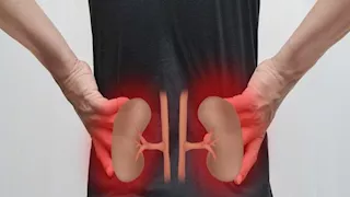 مضاعفات خطيرة.. كيف يؤثر مرض الكلى على الهضم؟