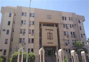 السجن سنة مع إيقاف التنفيذ لربة منزل قتلت زوجها بسكين في قنا