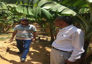 الإرشاد الزراعي: ندوات ولقاءات توعية لمزارعي 4 محافظات 