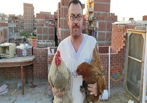 الدجاجة بـ5 آلاف جنيه والبيضة بـ100.. دجاج الزينة مكسب وهواية في البحيرة - فيديو