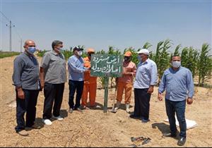  استرداد 86 فدانًا ضمن أملاك الدولة في البحيرة 