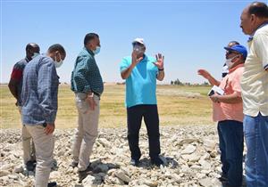 صور.. تنفيذ مشروع زراعة "الأرز الجاف" في قرية أبو هريرة بالوادي الجديد