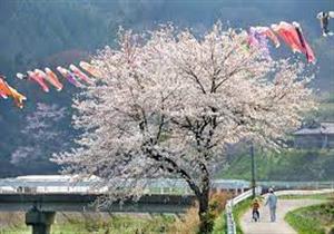 كيوشو.. جنة اليابان الجنوبية