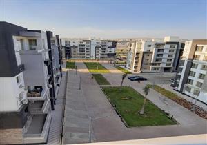 رئيس جهاز الشيخ زايد: بناء مدينة ذكية في الامتداد الغربي للمدينة