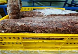 ضبط 13 طنا من مصنعات اللحوم والدواجن والكبدة الفاسدة بالمنيب والحوامدية وأكتوبر