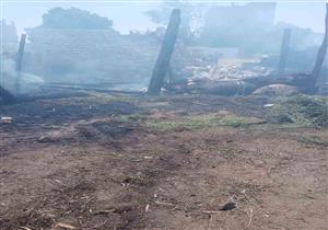 صور.. السيطرة على حريق في "5 أحواش مواشٍ" بأسيوط