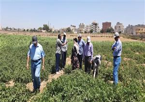 رئيسا "البحوث الزراعية" و"الصحراء" يتفقدان محطة بحوث مريوط بالإسكندرية -صور