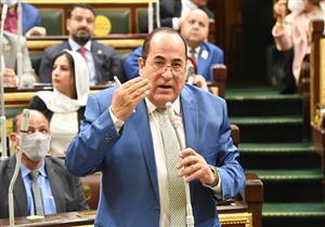 محمد درويش يبرز دور التضامن في صدور قانون شروط شغل الوظائف العامة