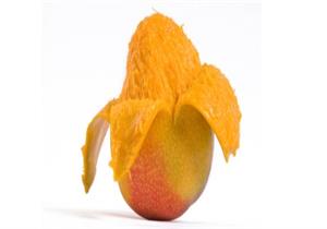 هذا ما يفعله قشر المانجو بالجسم عند تناوله.. هل هو مفيد أم مضر؟