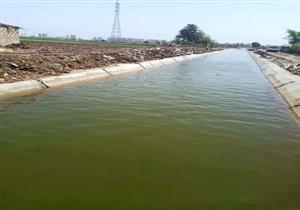 وقف البحث عن تمساح بترعة في كفر الشيخ.. ومسئول: "تلاقيه قرموط كبير"