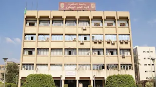 بدون مضادات حيوية.. "بيطري القاهرة" تبدأ بيع دواجن التسمين الإثنين 