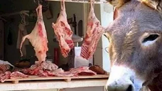 اكتشاف لحوم خيول وحمير في منتجات غذائية شهيرة بتركيا.. ما القصة؟
