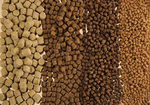 يشتبه فى عدم صلاحيتها.. ضبط 23 طن علف أسماك داخل مصنع بكفر الشيخ