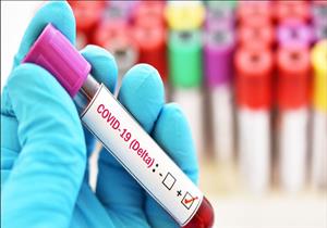 يظهر في مصر خلال أشهر.. عضو العليا للفيروسات يكشف خطورة "متحور دلتا"