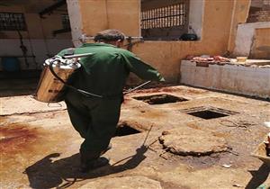 استعدادًا للعيد.. "مكافحة ناقلات الأمراض" تواجه الحشرات الضارة في المنيا - صور