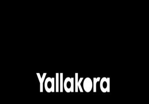 يلاكورة الأكثر بحثا على جوجل في مصر أول أيام أولمبياد طوكيو