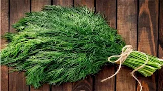 تناول الشبت يوميا.. 7 فوائد صحية قد تغير نمط حياتك