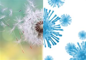 فيروس كورونا والحساسية الموسمية.. كيف نفرق بين أعراضهما؟