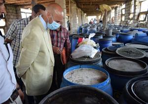 صور.. إعدام 32 طن أغذية غير صالحة للاستهلاك الآدمي في الشرقية