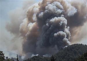 اليونان.. الحرائق تأتي على الآلاف من خلايا النحل وتعرض إنتاج العسل للخطر