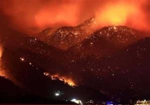 رئيس أركان الجيش الجزائري يلقي النظرة الأخيرة على شهداء حرائق الغابات