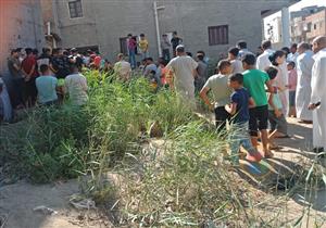 العثور على جثة طفل في بيارة صرف صحي بكفر الشيخ - صور