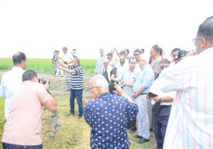 صور.. محافظ بورسعيد يشهد حصاد محصول الأرز في شرق بورسعيد