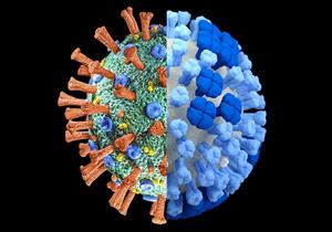  لقاح كورونا ومصل الإنفلونزا.. هل يتعارضان معًا؟