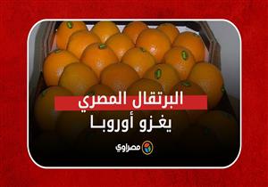 البرتقال المصري يغزو أوروبا.. فما القصة؟