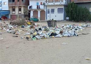 580 حالة عقر في 4 أشهر.. "الكلاب" تثير أزمة بالسويس - تعرف على القصة الكاملة