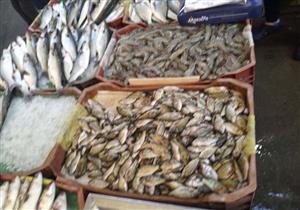 أبرزها "الهليلي والدنيس".. أسعار وأنواع الموسم الجديد في حلقة السمك بدمياط (فيديو)