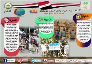 الزراعة في كل مصر.. انفوجراف بأنشطة المديريات خلال أسبوع