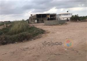 بالملايين.. قصة أغرب قضية سرقة تيار كهربائي في مصر - صور